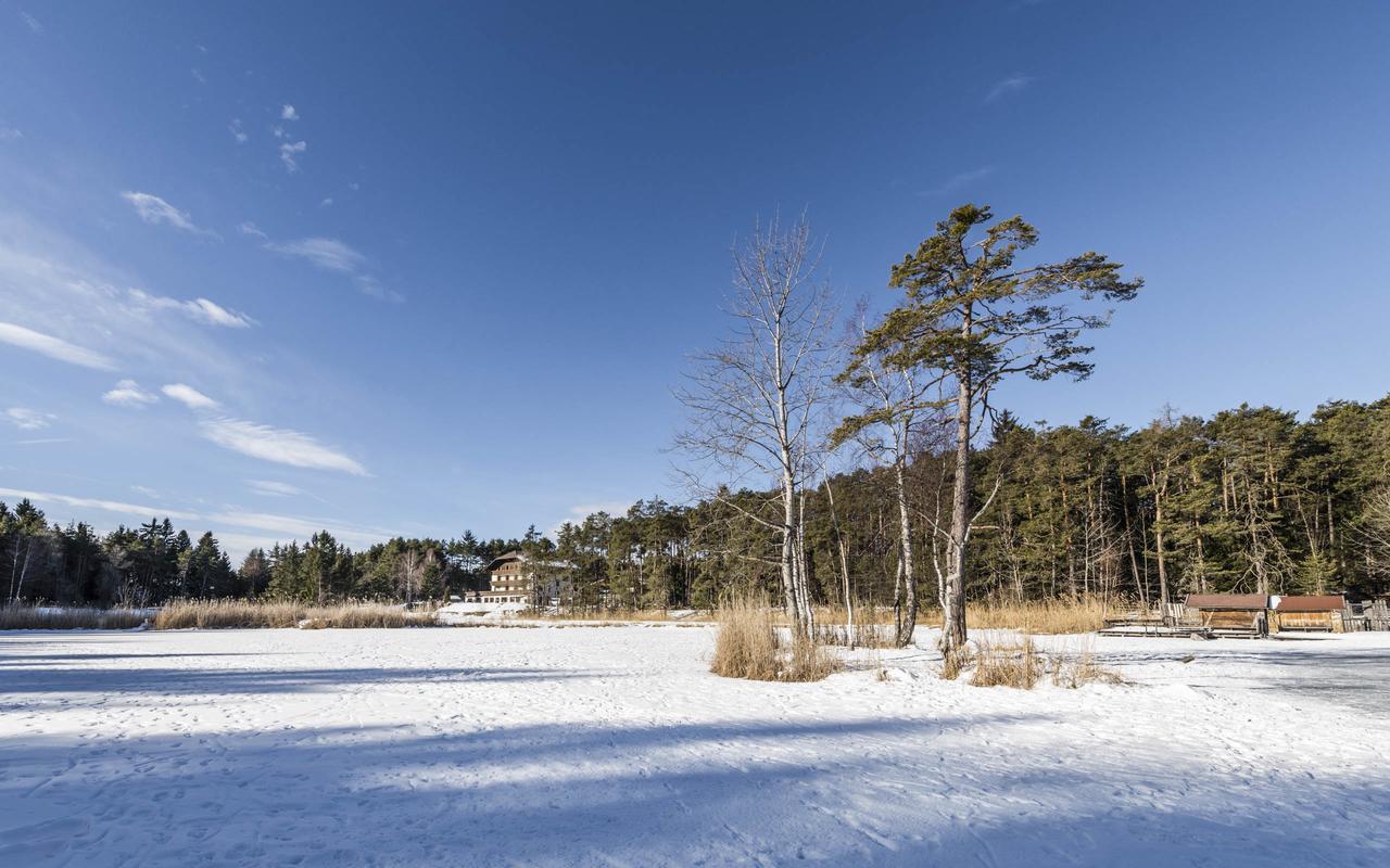 Hotel Waldsee Фие Экстерьер фото